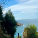 温州南麂岛 - 温州市旅游 缩略图 7