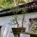 婺城区逸境·宋酒店(古子城步行街店) - 金华市旅游 缩略图 8