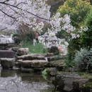 婺城区逸境·宋酒店(古子城步行街店) - 金华市旅游 缩略图 3