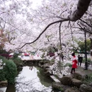 婺城区逸境·宋酒店(古子城步行街店) - 金华市旅游 缩略图 4