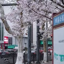 婺城区逸境·宋酒店(古子城步行街店) - 金华市旅游 缩略图 2
