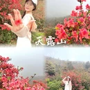 天露山 - 云浮旅游 缩略图 1