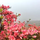 天露山 - 云浮旅游 缩略图 2
