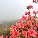 天露山 - 云浮旅游 缩略图 8