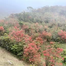 天露山 - 云浮旅游 缩略图 6