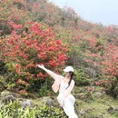 天露山 - 云浮旅游 缩略图 9