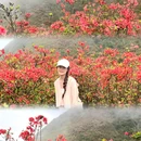 天露山 - 云浮旅游 缩略图 4