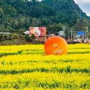 菜溪乡 - 莆田市旅游 缩略图 3
