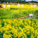 菜溪乡 - 莆田市旅游 缩略图 5