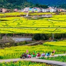菜溪乡 - 莆田市旅游 缩略图 6