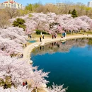 玉渊潭公园 - 北京市旅游 缩略图 3