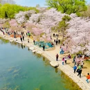 玉渊潭公园 - 北京市旅游 缩略图 4