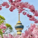 玉渊潭公园 - 北京市旅游 缩略图 8