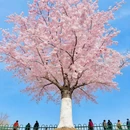玉渊潭公园 - 北京市旅游 缩略图 7