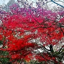 汉庭酒店(南京玄武湖先锋广场店) - 南京市旅游 缩略图 3