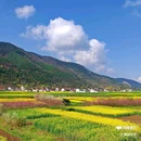 皇塘水乡 - 汉中市旅游 缩略图 5