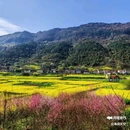 皇塘水乡 - 汉中市旅游 缩略图 4