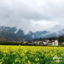 皇塘水乡 - 汉中市旅游 缩略图 7