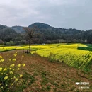 皇塘水乡 - 汉中市旅游 缩略图 9