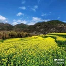皇塘水乡 - 汉中市旅游 缩略图 8