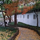 苏州市西园戒幢律寺 - 苏州市旅游 缩略图 8