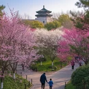 南京旅游 缩略图 9