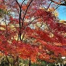 汉庭酒店(南京玄武湖先锋广场店) - 南京市旅游 缩略图 3