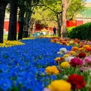 日坛公园 - 北京市旅游 缩略图 1