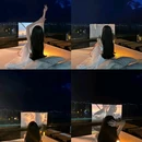 洱海景区 - 大理白族自治州旅游 缩略图 6