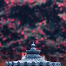 四季逸境酒店(金华高铁站银泰城店) - 金华市旅游 缩略图 4