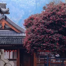 四季逸境酒店(金华高铁站银泰城店) - 金华市旅游 缩略图 3