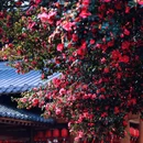 四季逸境酒店(金华高铁站银泰城店) - 金华市旅游 缩略图 5