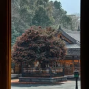 四季逸境酒店(金华高铁站银泰城店) - 金华市旅游 缩略图 8