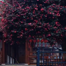 四季逸境酒店(金华高铁站银泰城店) - 金华市旅游 缩略图 7