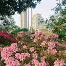 中山公园 - 厦门市旅游 缩略图 3