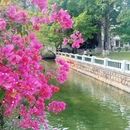 中山公园 - 厦门市旅游 缩略图 4
