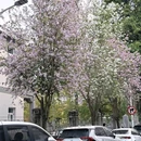 中山公园 - 厦门市旅游 缩略图 5