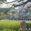 中山公园 - 厦门市旅游 缩略图 8