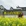 黄山市·翡翠谷景区