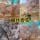 喀什古城万斐国际酒店 - 喀什地区旅游 缩略图 2