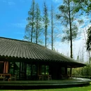 道明竹里 - 成都市旅游 缩略图 4