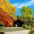 道明竹里 - 成都市旅游 缩略图 6