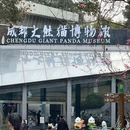 成都大熊猫繁育研究基地 - 成都旅游 缩略图 9