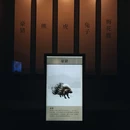 二里头遗址 - 洛阳市旅游 缩略图 4