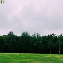 洛阳博物馆 - 洛阳市旅游 缩略图 3