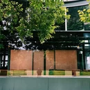 洛阳博物馆 - 洛阳市旅游 缩略图 4