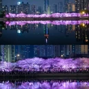 卡煕尔丨VISTA寰江·180°轻奢美学影音酒店 - 武汉市旅游 缩略图 1