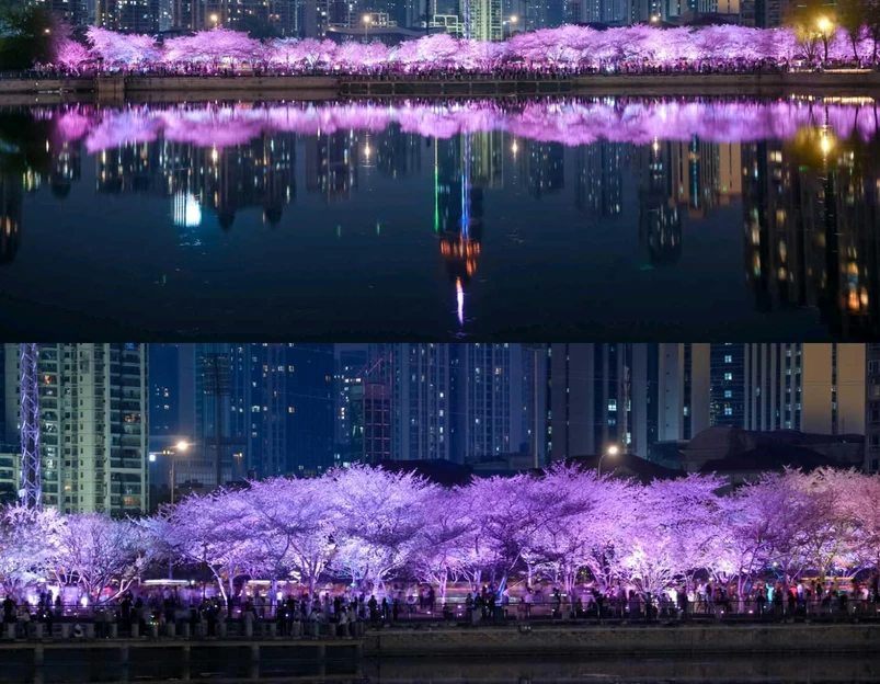卡煕尔丨VISTA寰江·180°轻奢美学影音酒店 - 武汉市旅游 1