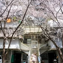 卡煕尔丨VISTA寰江·180°轻奢美学影音酒店 - 武汉市旅游 缩略图 2