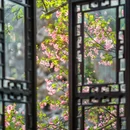 网师园 - 苏州市旅游 缩略图 7